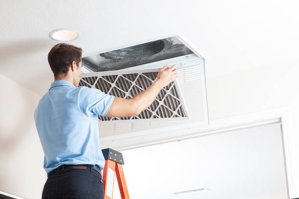 Best Affordable HVAC Services  in Peach Springs, AZ